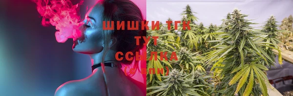 ГАЛЛЮЦИНОГЕННЫЕ ГРИБЫ Нязепетровск
