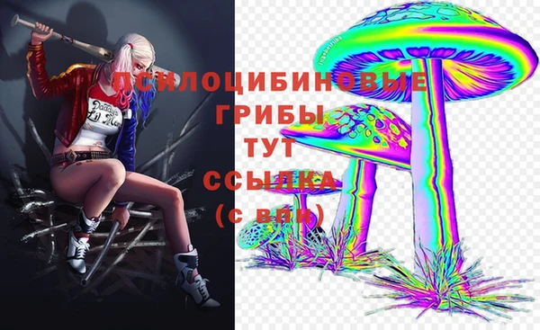2c-b Няндома