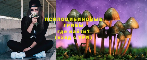 ГАЛЛЮЦИНОГЕННЫЕ ГРИБЫ Нязепетровск