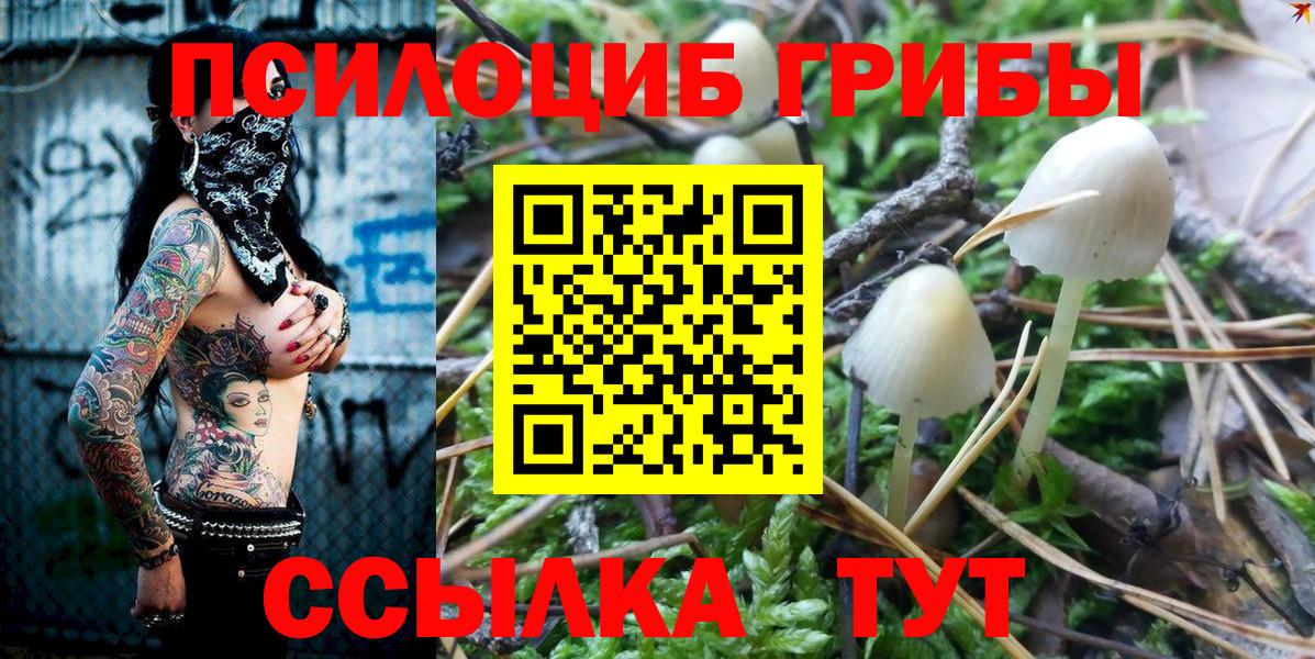 Галлюциногенные грибы мухоморы  Вход с VPN  Старая Русса 