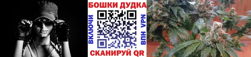 Бошки марихуана OG Kush  omg ТОР  Старая Русса 